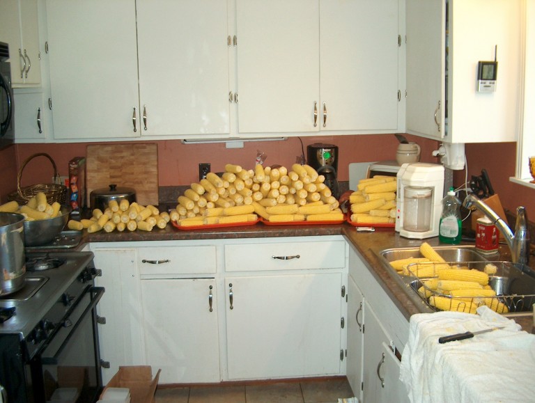 Corn 2